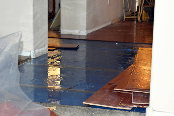 Professional Water Extraction technician working in River Falls, WI
